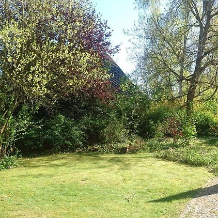 Sonniges Haeuschen Mit Garten Braunschweig Bagian luar foto