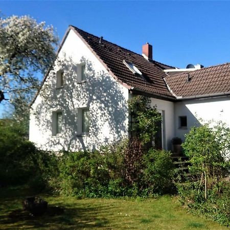 Sonniges Haeuschen Mit Garten Braunschweig Bagian luar foto