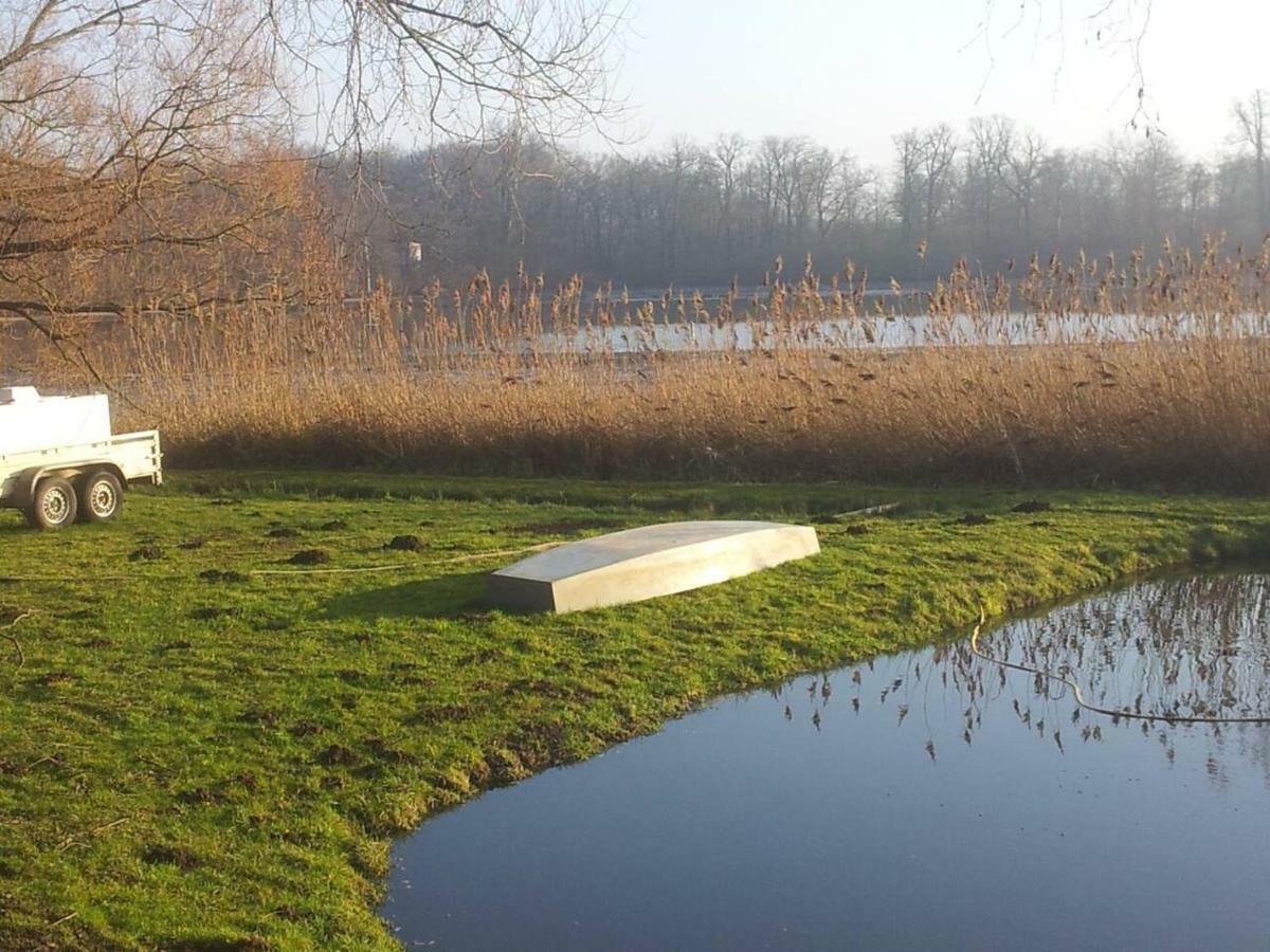 Sonniges Haeuschen Mit Garten Braunschweig Bagian luar foto