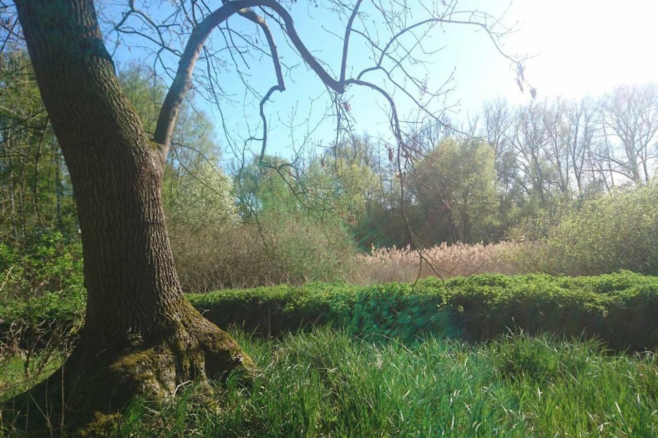 Sonniges Haeuschen Mit Garten Braunschweig Bagian luar foto