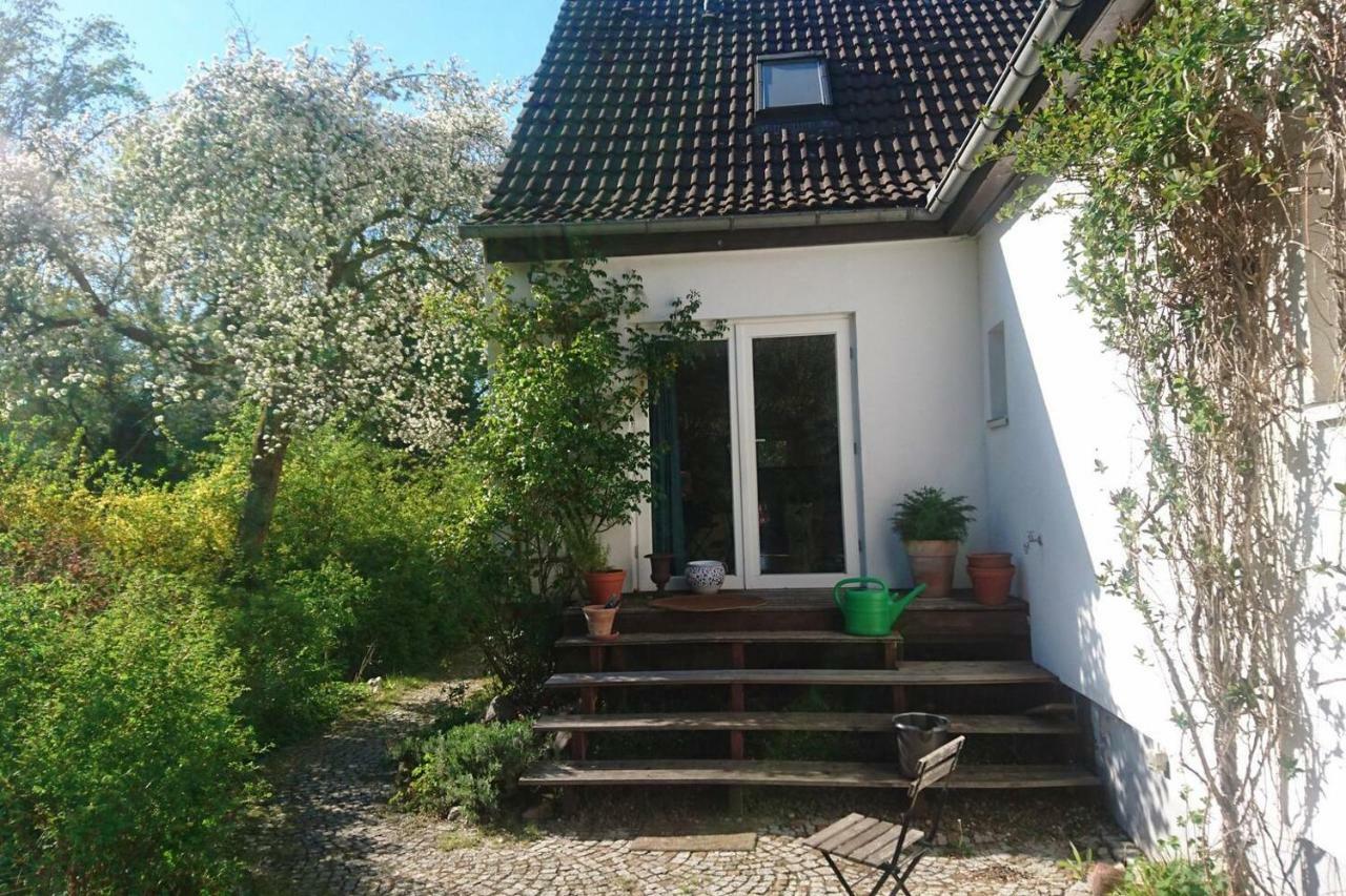 Sonniges Haeuschen Mit Garten Braunschweig Bagian luar foto